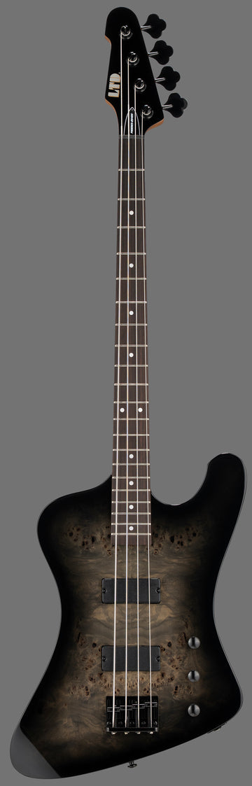 PHX-204DX Black Burst