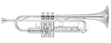 YTR6335RCS B Versilbert