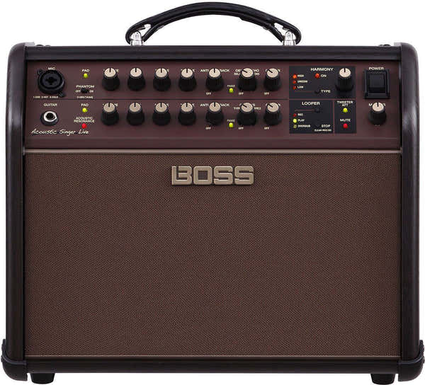 Acoustic Singer Live