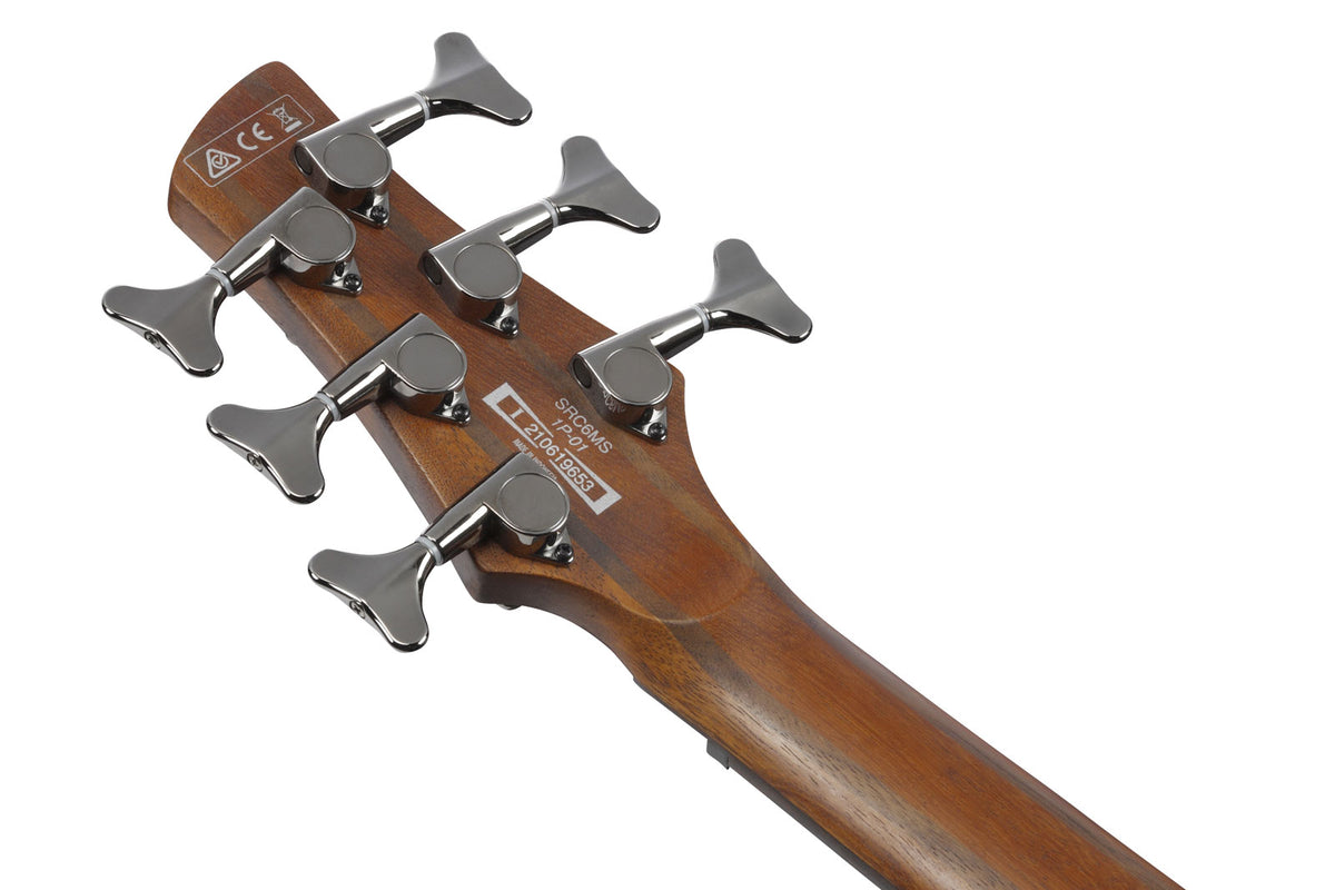 SRC6MS-BLL Schwarz gebeizter Burst Bass Workshop