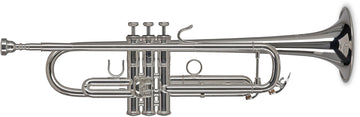 Vision TR272S Sib Argentata