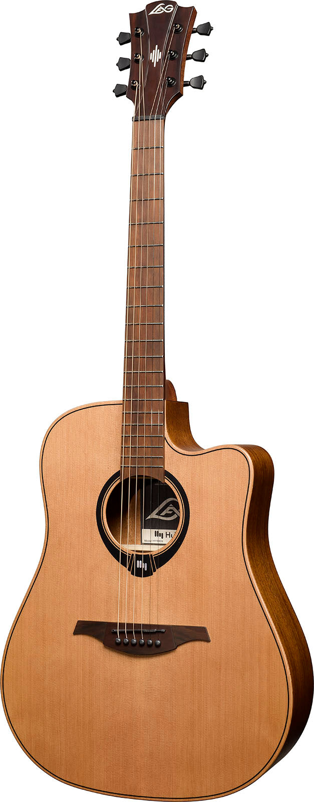 HyVibe 2 Serie 10 Dreadnought CW