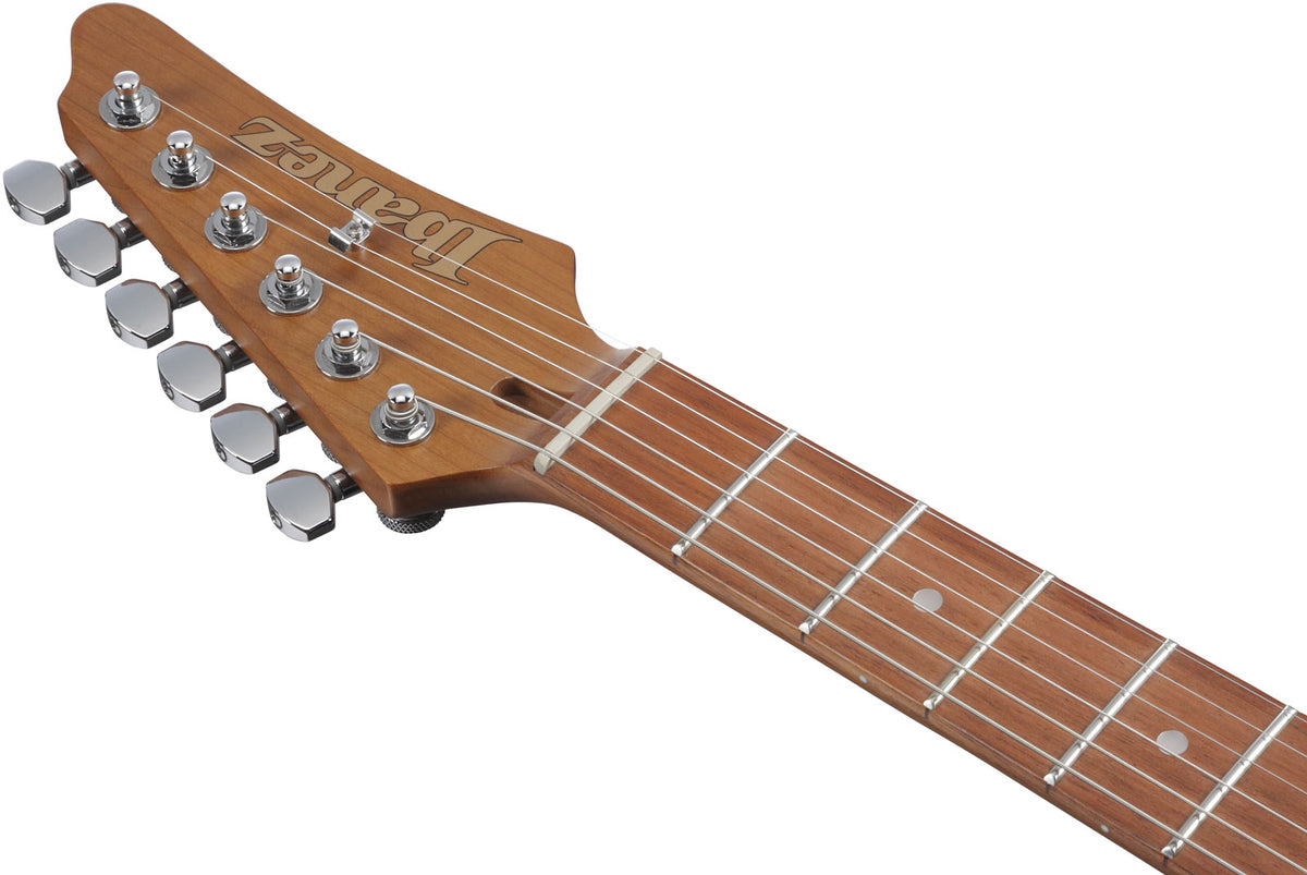 AZ22S1F-TKS Standard Transparent Black Sunburst