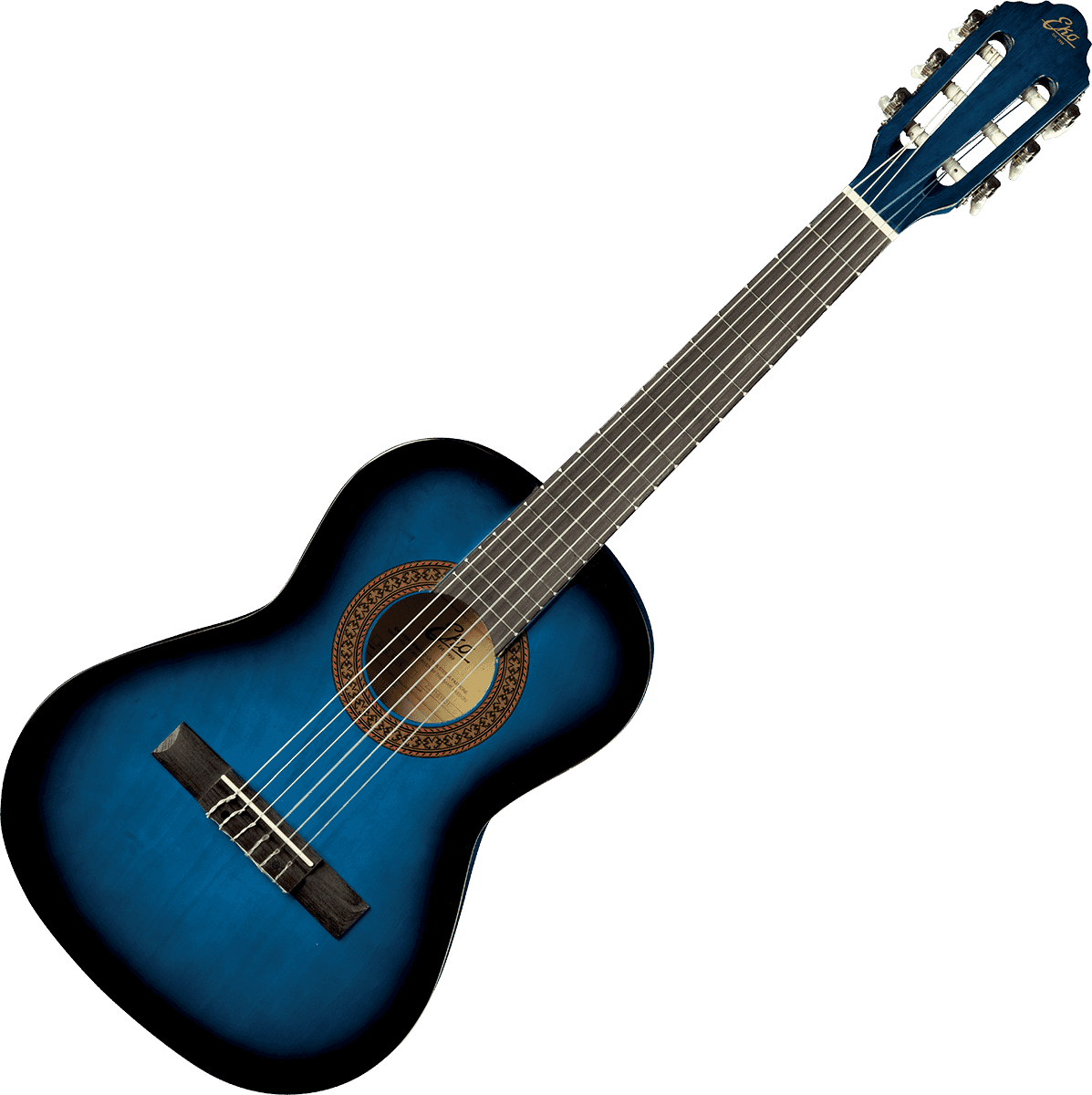 CS-2 1/2 Blue Burst + Housse