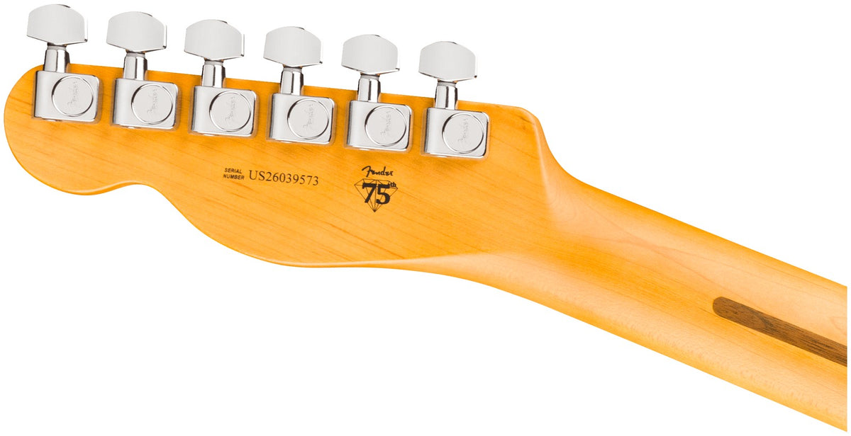 Telecaster American Professional, RW Natural