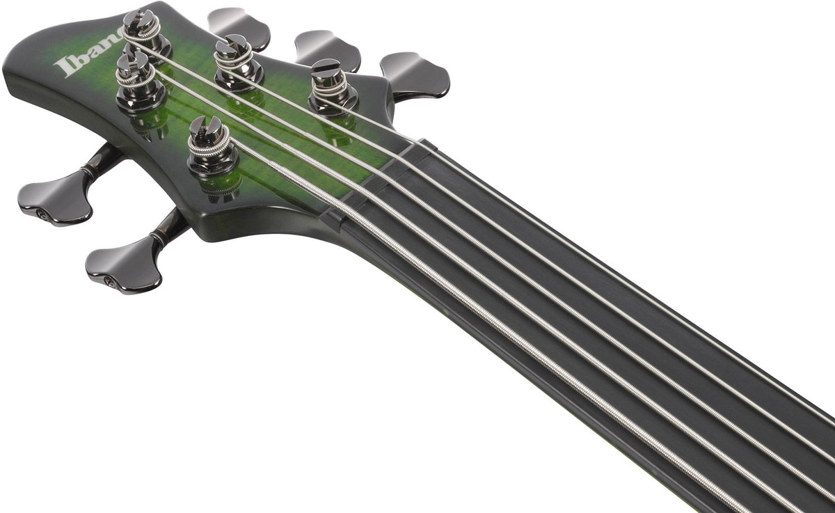 SDGB1-DMT Burst muschio scuro Signature Steve Dirgio