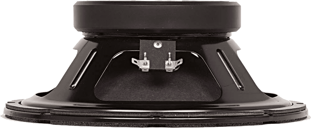 Ragin Cajun 10" 8 Ohms