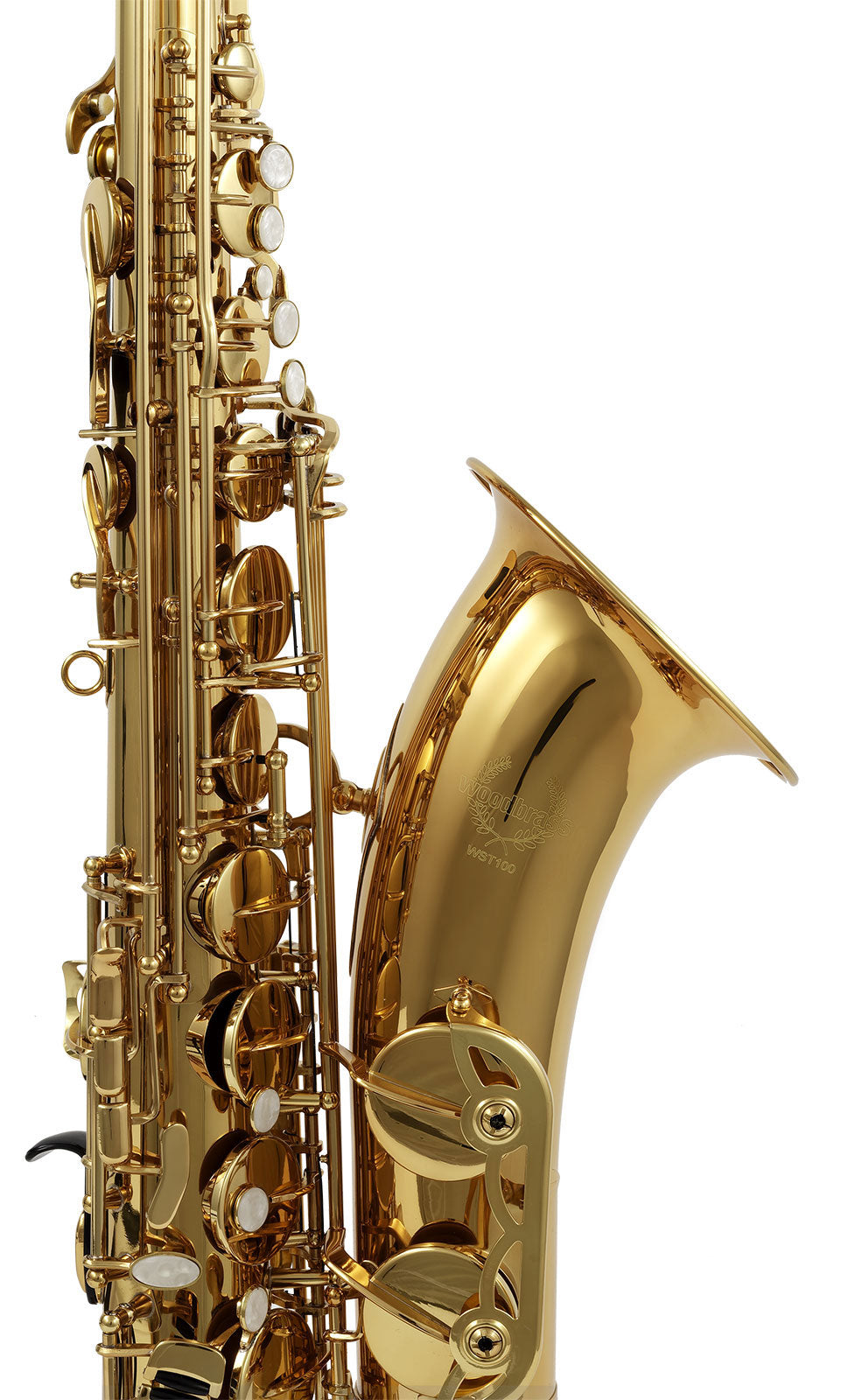 WST100 - Tenore Sib Verniciato