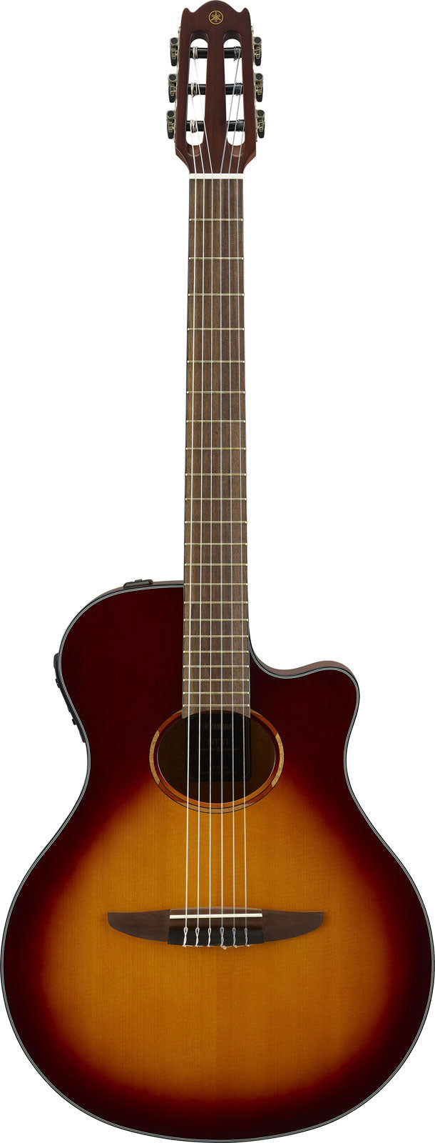 Ntx1 Brown Sunburst