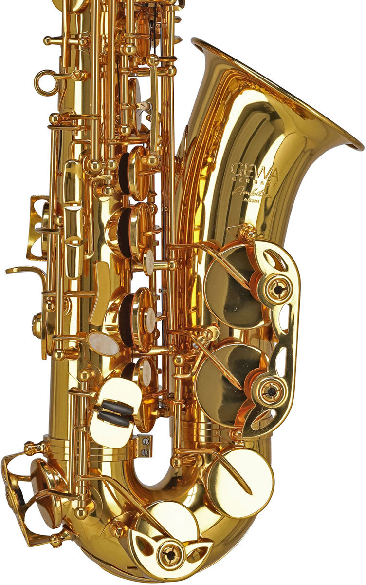 Ambition AS501 Alto Mib Verni