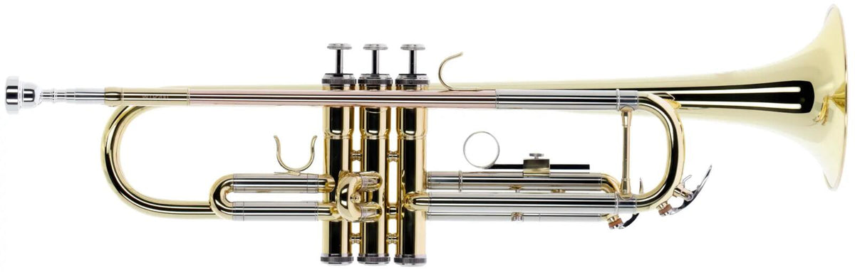 Woodbrass WTP200 - Si B Verni - Stock B