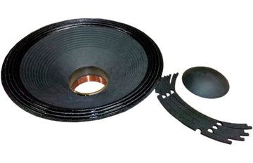 Recone Kit pour 18PS76 8 Ohms