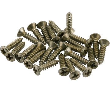 ROAD WORN PICKGUARD/CONTROL PLATE SCREWS (24)