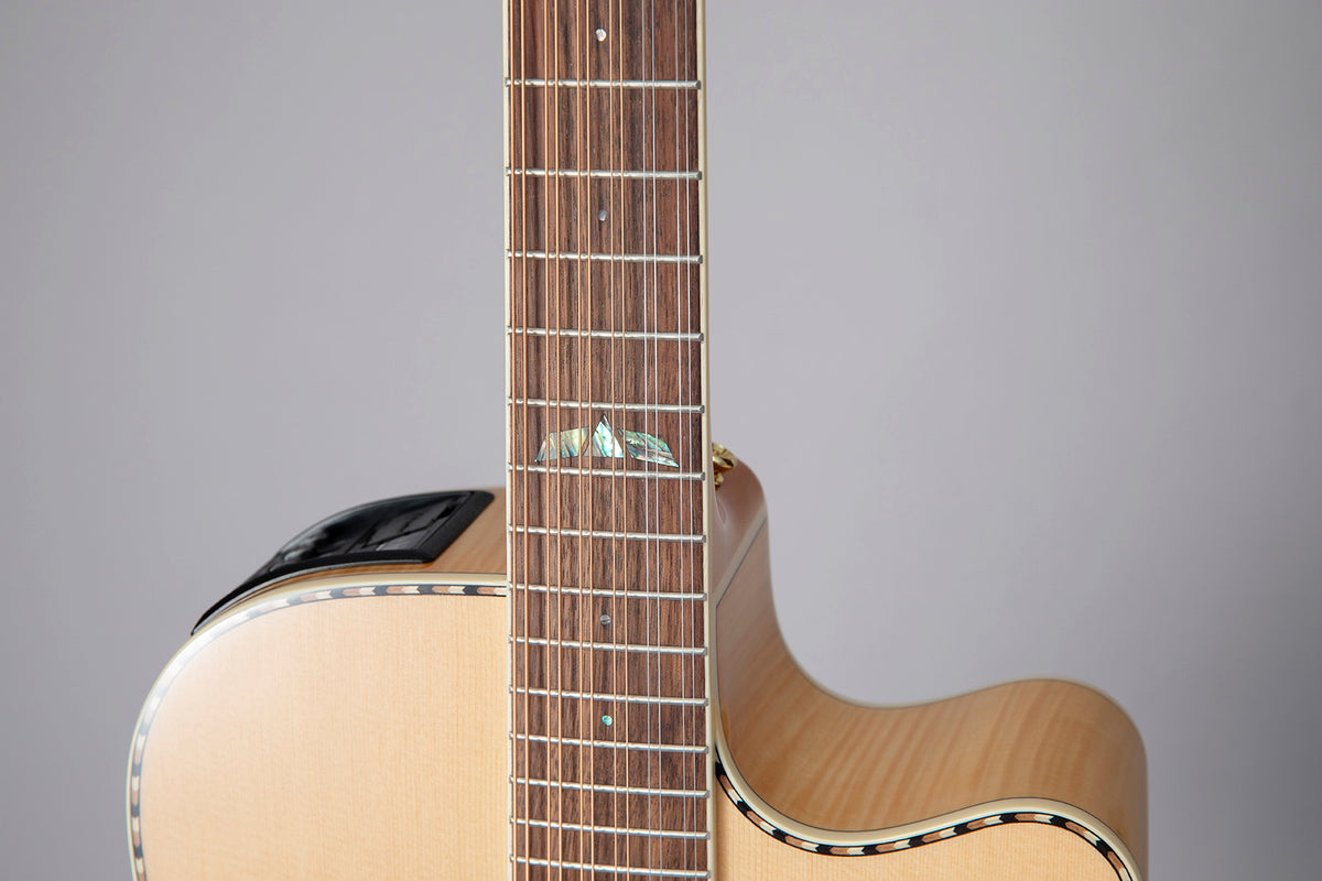 GD74CE-12 Dreadnought Saiten Natur