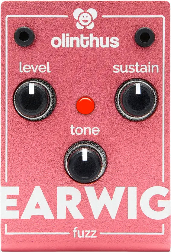 Olinthus