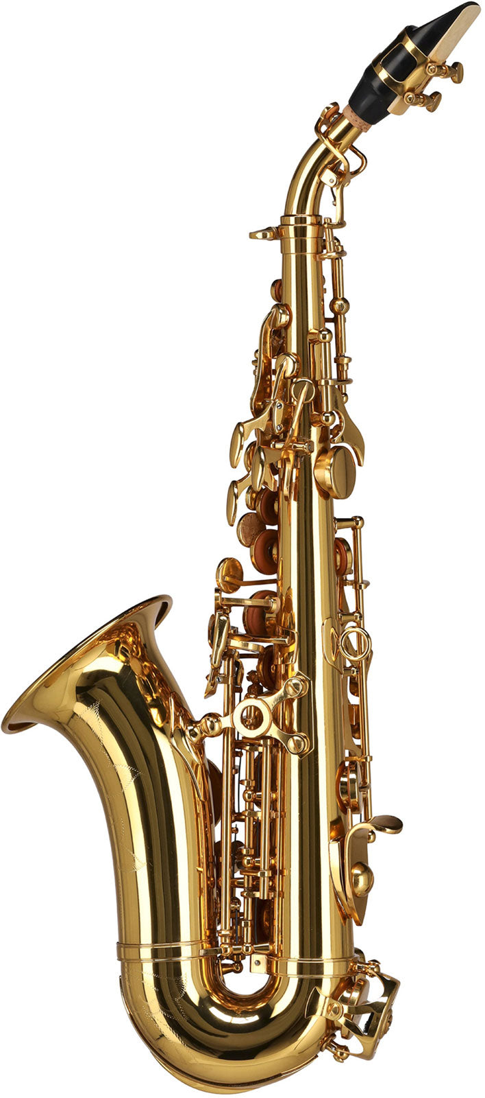 Ambition SC650 Sib Verni
