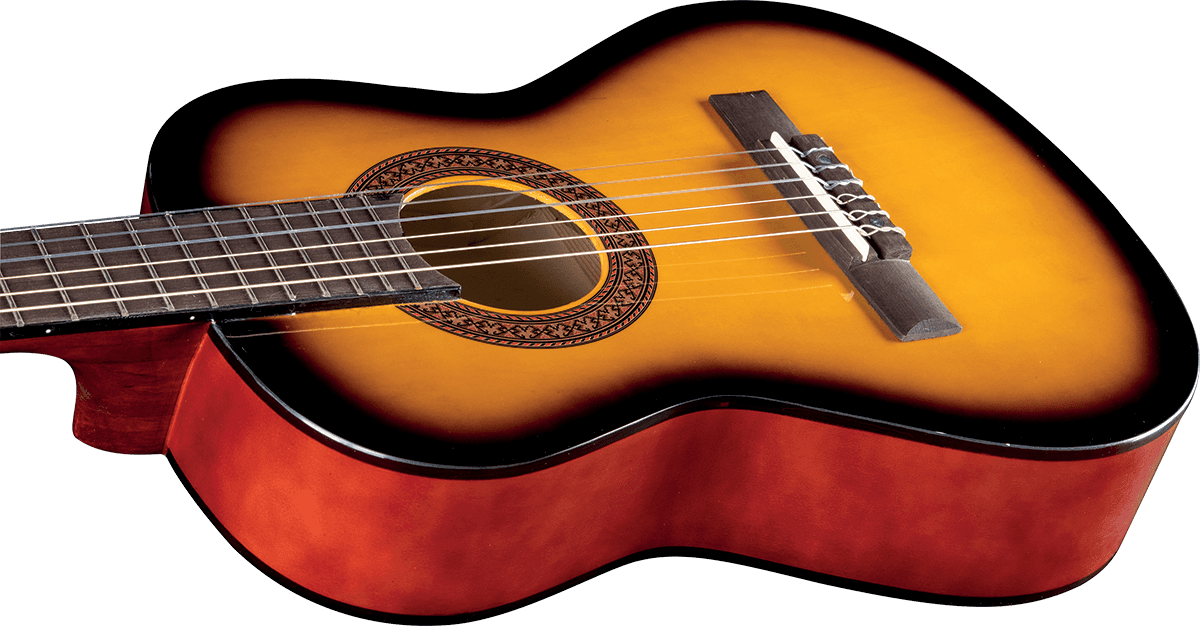 CS-2 1/2 Sunburst + Housse