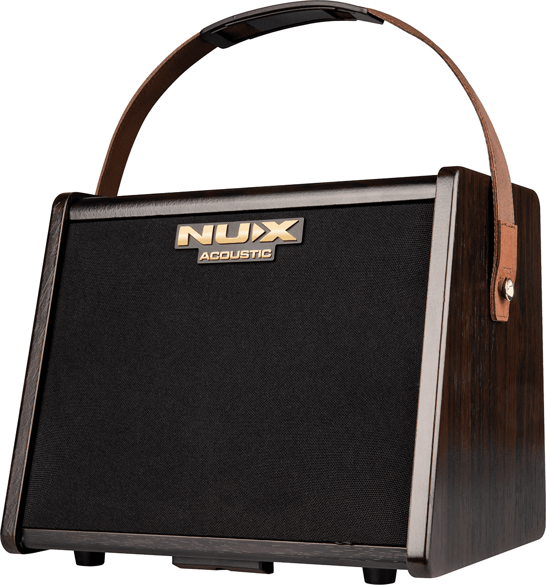 25 WATT ACOUSTIC AMP ON 2 CHANNEL BATTERY + EFFECTS