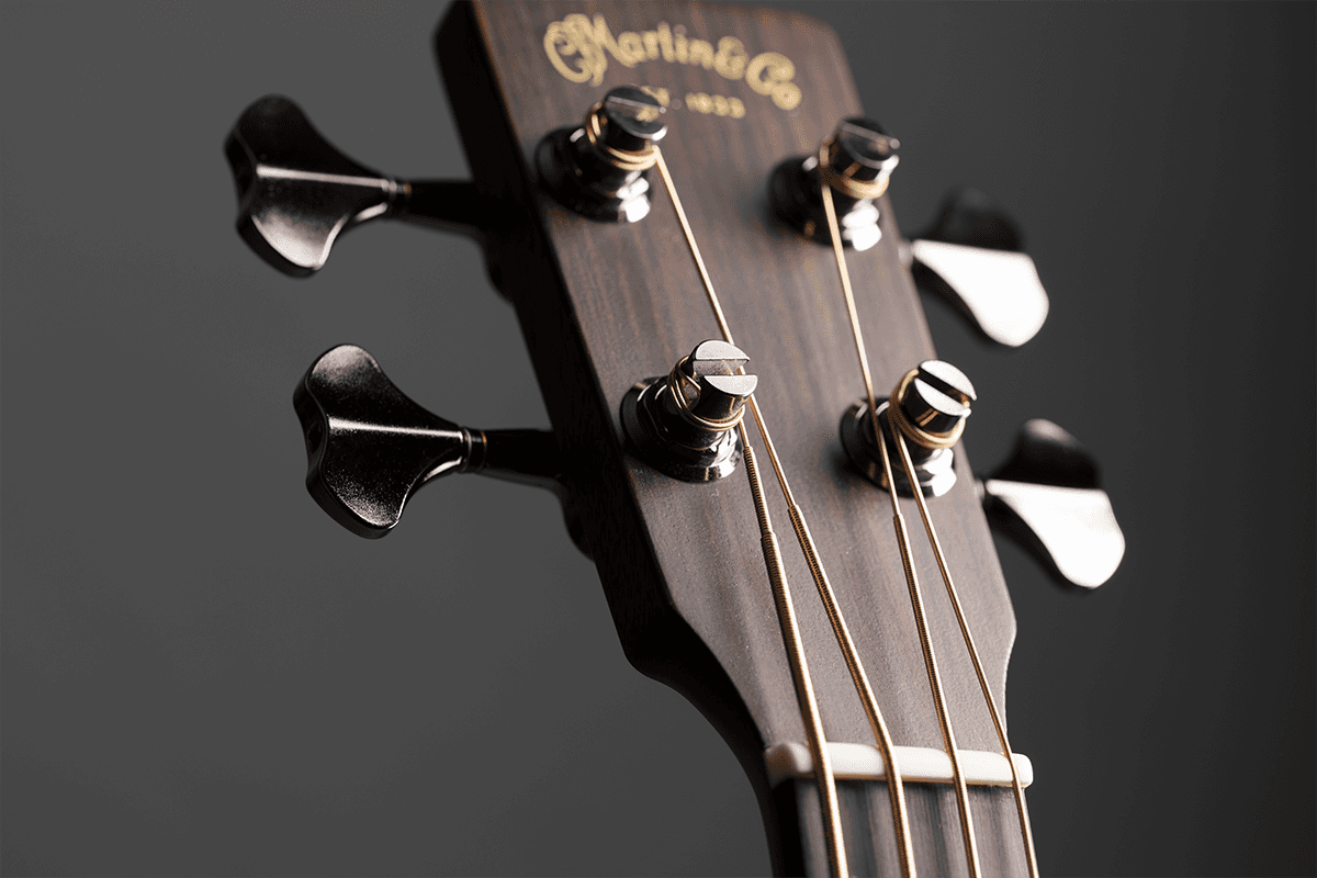 Bc-16E Bass