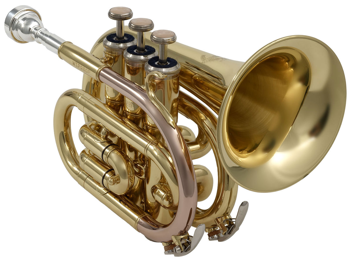 WTP200P - Sib verniciato