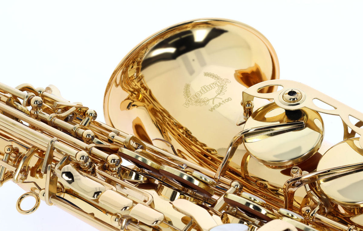 WSA100 - Alto Mi B Verni