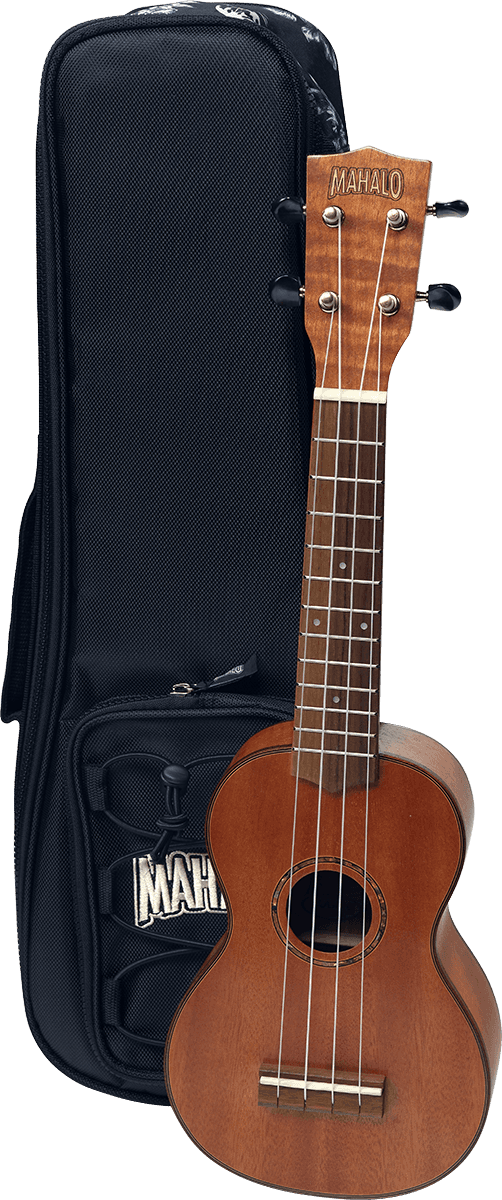 Acajou Massif Soprano + Housse