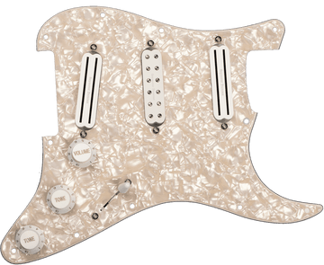 Plaques PRE-cablees Dave Murray D. Murray Pickguard