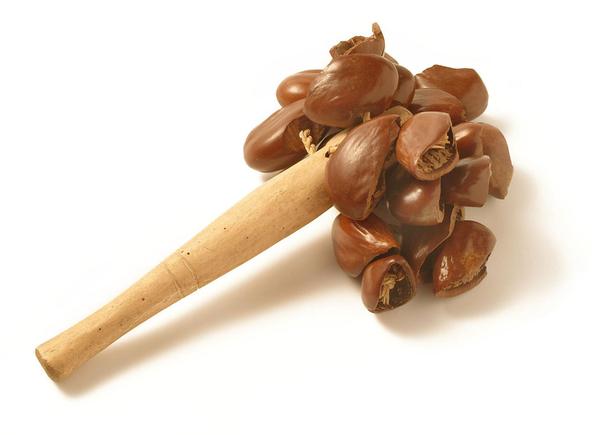 Yoman MPP009 - Shaker Djudju - Noix De Cola Sur Manche