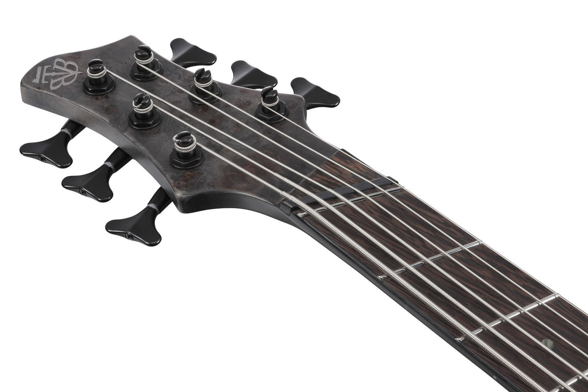 Btb806Ms-Tgf Transparent Gray Flat Bass Workshop