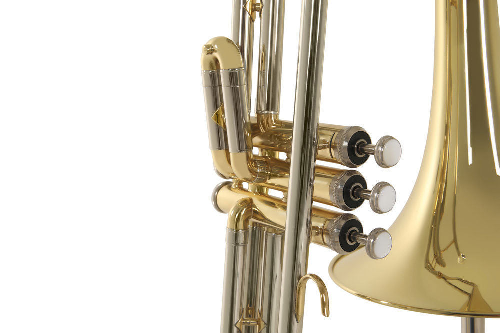 Ambition VT501 Ténor Sib Verni