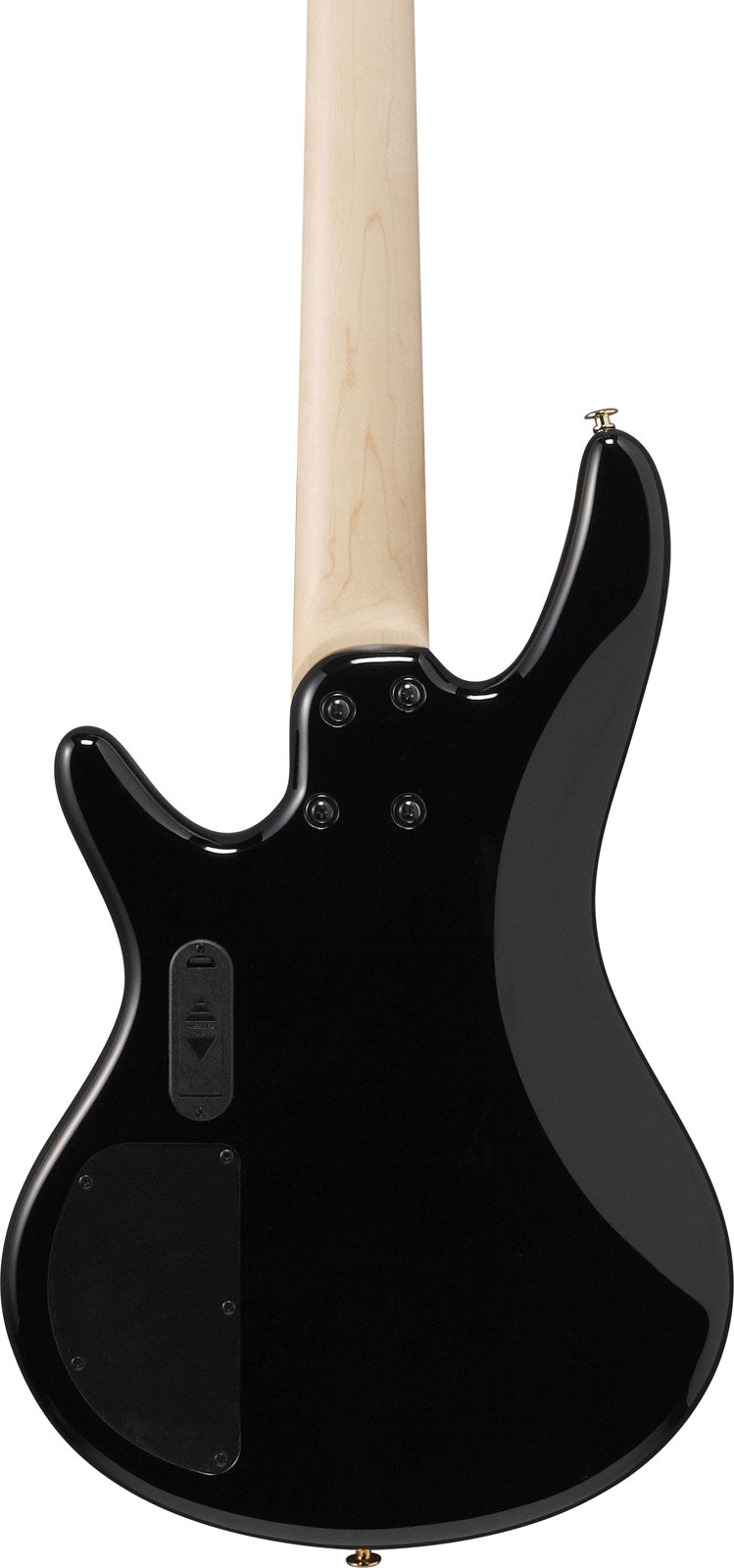 GSR205PCTPB Transparent Pale Black Burst