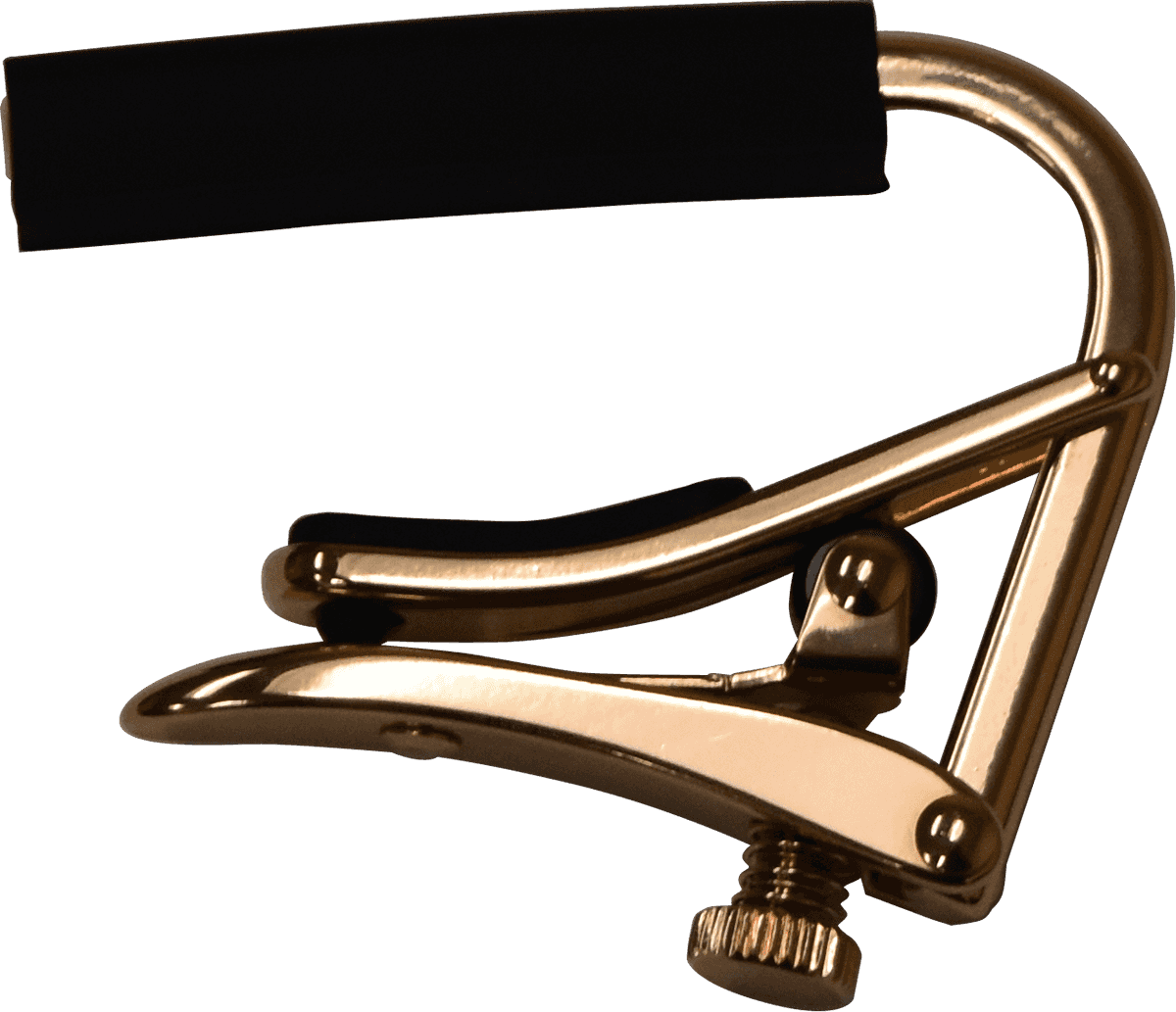 Pink Gold 12 corde