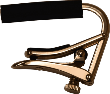 Pink Gold 12 corde