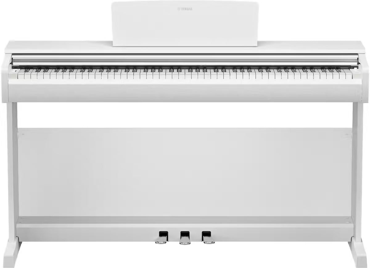 YDP-146 Blanc
