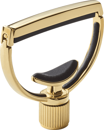 Heritage Gitarre Style 1 Breit Gold
