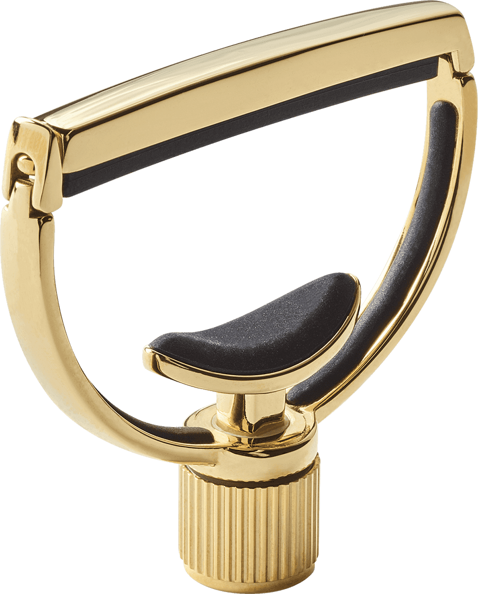 Heritage Gitarre Style 1 Breit Gold