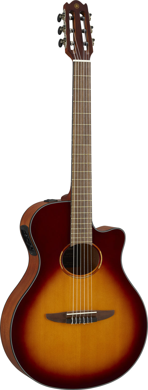 Ntx1 Brown Sunburst