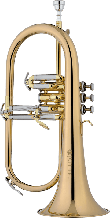 1100RQ - VARNISHED BB + HORN PINK COPPER