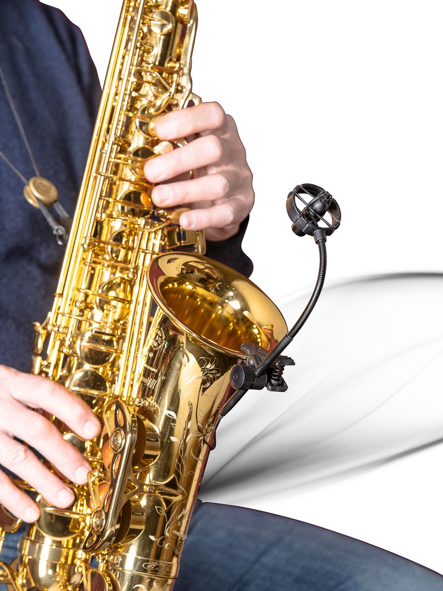 Prodipe SB21 Lanen