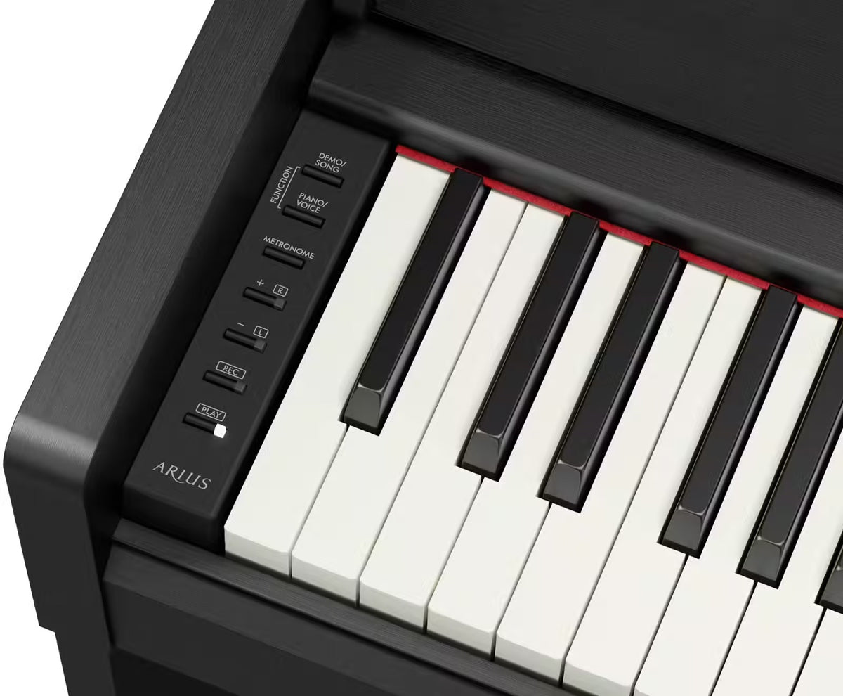 YDP-S36 Noir