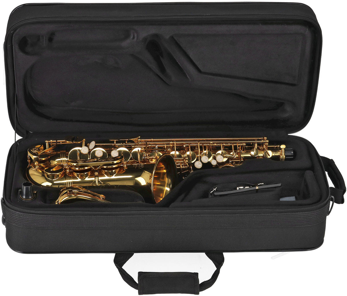 Ambition AS501 Alto Mib Verni