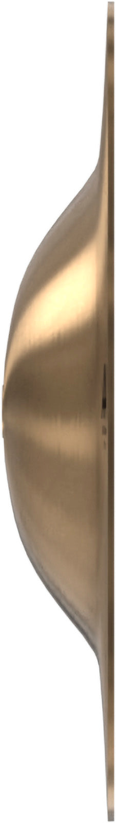 AA MAX Campana 7"