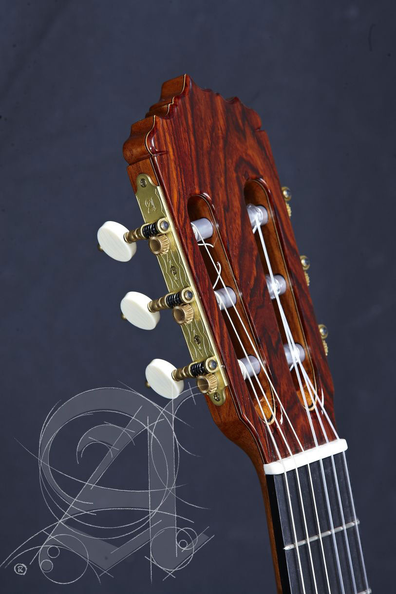 Professional Luthier Linea Profesional + 9650 Bam Iconic Case