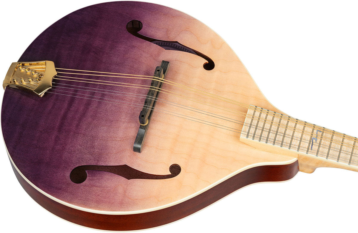 Americana A-Style-Mandoline + Croco-Lederkoffer
