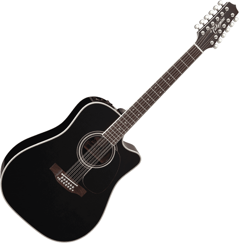 Japon EF381sc Black 12-cordes