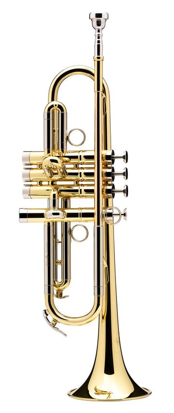 TOMA BB LACQUERED (ACTOMA-1-0)