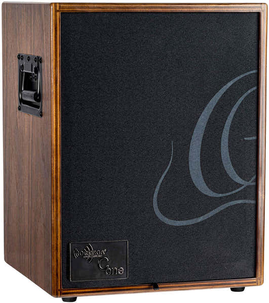CONE-wnd 100W 2 Canaux Rev/Chorus