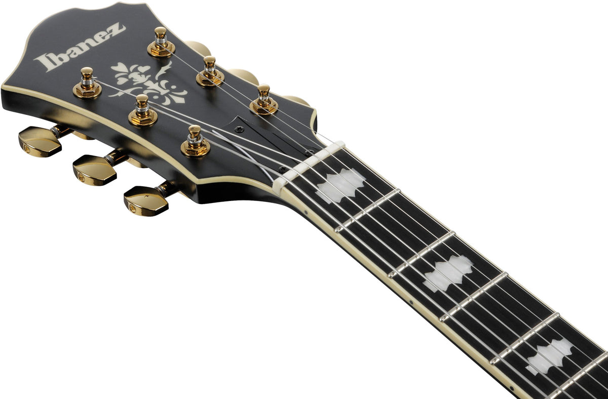 Pm3C Signature Pat Metheny Black Low Gloss