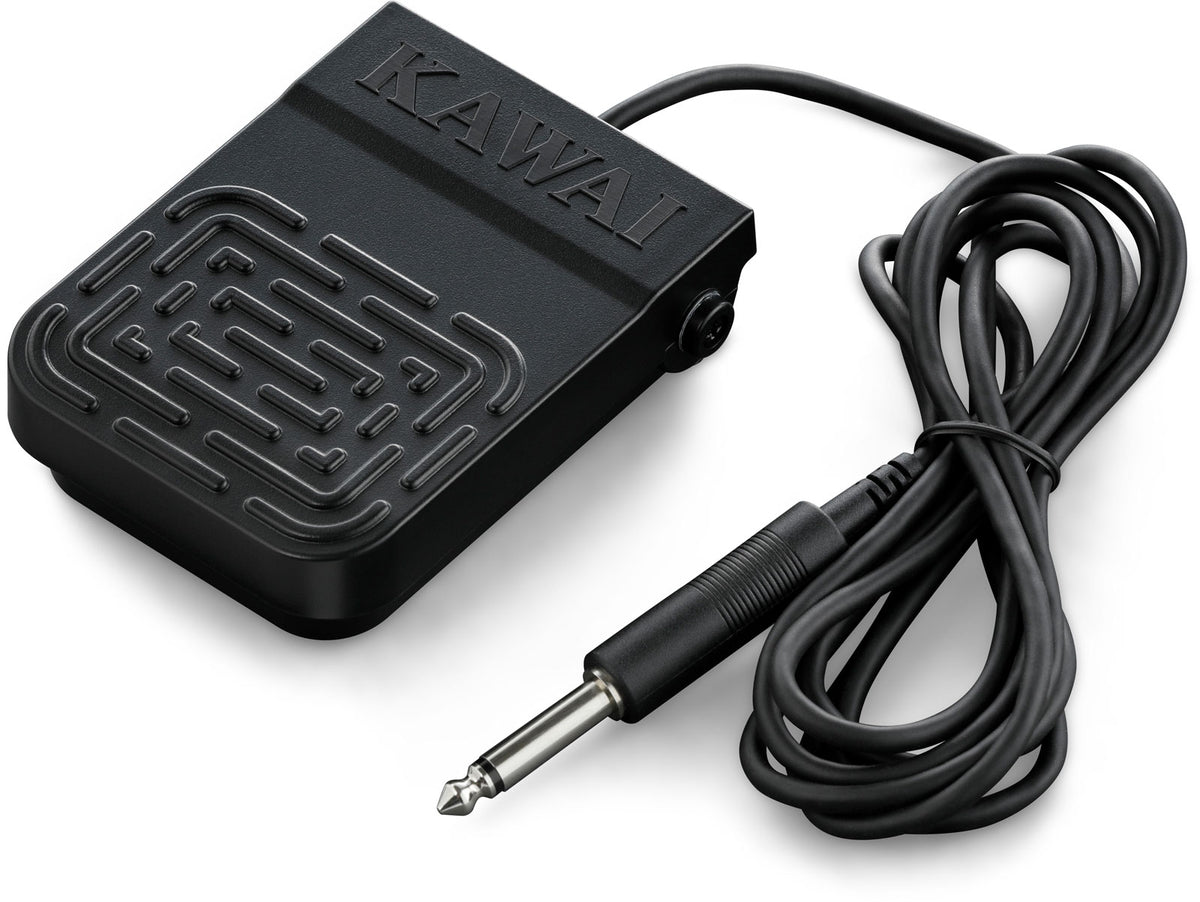 ES120 Noir