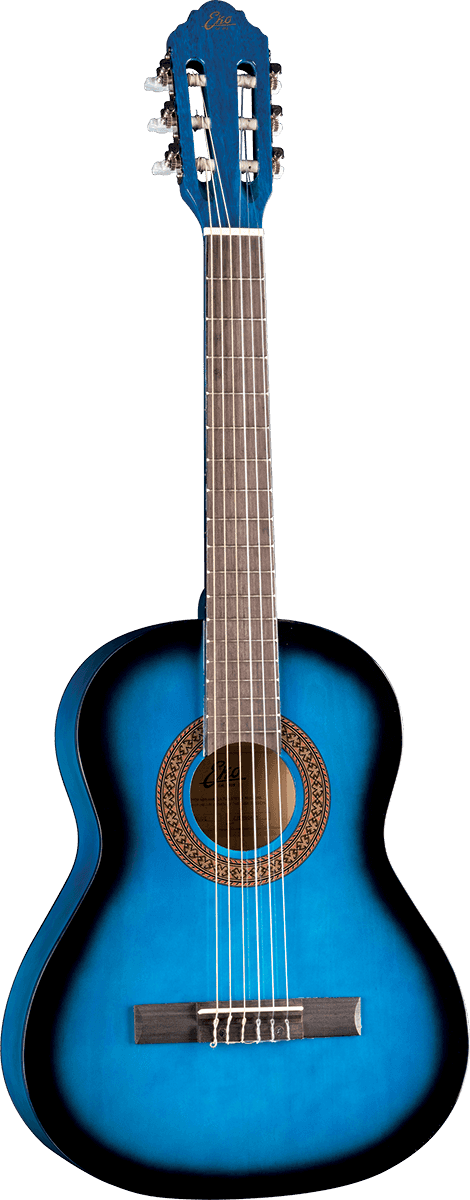CS-5 3/4 Blue Burst + Housse